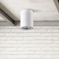 Downlight tuba natynkowa regulowany kierunek Rubin Paski biały Ø 8cm. GU10 goldlux 319845 | 5901508319845 noxbox lampynox www.lampynox.pl