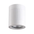 Downlight tuba natynkowa regulowany kierunek Rubin Paski biały Ø 8cm. GU10 goldlux 319845 | 5901508319845 noxbox lampynox www.lampynox.pl