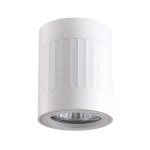 Rubin Paski biały Ø 8cm. GU10 Downlight tuba natynkowa regulowany kierunek