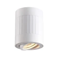 Downlight tuba natynkowa regulowany kierunek Rubin Paski biały Ø 8cm. GU10 goldlux 319845 | 5901508319845 noxbox lampynox www.lampynox.pl