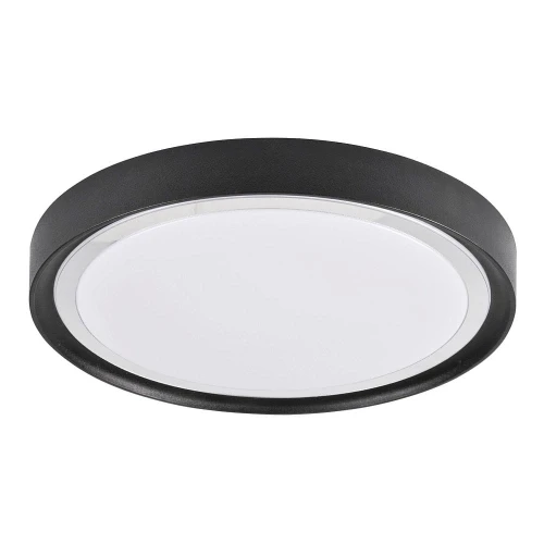 Plafon Perse 30 czarny Ø 33cm. LED 15W 4000K goldlux 319111 | 5901508319111 noxbox lampynox www.lampynox.pl
