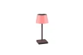 Zewnętrzna lampka stołowa Sanchez antracyt LED dim. 2,1W 3000+4000+5000K RGB IP44 ściemnialna RL R54126142 | 4017807570595 noxbox lampynox www.lampynox.pl