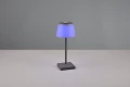 Zewnętrzna lampka stołowa Sanchez antracyt LED dim. 2,1W 3000+4000+5000K RGB IP44 ściemnialna RL R54126142 | 4017807570595 noxbox lampynox www.lampynox.pl