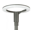 Ster Max antracyt LED 60W 4000K IP65 Głowica latarni