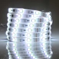 Zestaw taśma Magic LED 2m. 12W RGB IP65 zasilacz + kontroler + pilot goldlux 314956 | 5901508314956 noxbox lampynox www.lampynox.pl