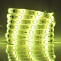 Zestaw taśma Magic LED 2m. 12W RGB IP65 zasilacz + kontroler + pilot goldlux 314956 | 5901508314956 noxbox lampynox www.lampynox.pl