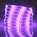 Zestaw taśma Magic LED 2m. 12W RGB IP65 zasilacz + kontroler + pilot goldlux 314956 | 5901508314956 noxbox lampynox www.lampynox.pl