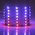 Zestaw taśma Magic LED 5m. 24W RGB IP20 zasilacz + kontroler + pilot goldlux 314963 | 5901508314963 noxbox lampynox www.lampynox.pl