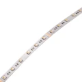Zestaw taśma LED 3m. 24V 22W IP20 RGBW + zasilacz + sterownik + pilot RF goldlux 319272 | 5901508319272 noxbox lampynox www.lampynox.pl