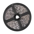 Zestaw taśma LED 24V 5m RGB+4000K IP20 pilot, zasilacz, sterownik goldlux 319289 | 5901508319289 noxbox lampynox www.lampynox.pl