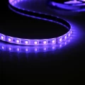 Zestaw taśma LED 24V 3m RGB+4000K IP65 pilot, zasilacz, sterownik goldlux 319296 | 5901508319296 noxbox lampynox www.lampynox.pl