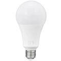 Platinum Żarówka LED A80 20W E27 3000K goldlux 307620 | 5901508307620 noxbox lampynox www.lampynox.pl