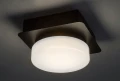Sufitowa lampa łazienkowa Attichus czarny mat LED 5W 4000K IP44 rabalux 75001 | 5996595750015 noxbox lampynox www.lampynox.pl