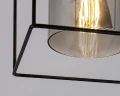 Lampa sufitowa Chadwick czarny | przydymiony E27 rabalux 71031 | 5996595710316 noxbox lampynox www.lampynox.pl