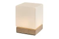 Lampka stołowa ściemnialna Pirit brąz | biały LED dim. 1,2W 3000K rabalux 76003 | 5996595760038 noxbox lampynox www.lampynox.pl