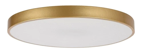 Lampa sufitowa ściemnialna Tesia złoty Ø 60cm LED Dim. 60W 3000-4000-6000K pilot rabalux 71038 | 5996595710385 noxbox lampynox www.lampynox.pl