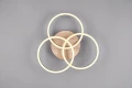 Lampa sufitowa Circle brąz | czarny LED 3 step dim. 27W 2700-6000K pilot rl R62823135 | 4017807561234 noxbox lampynox www.lampynox.pl