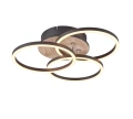 Lampa sufitowa Circle brąz | czarny LED 3 step dim. 27W 2700-6000K pilot rl R62823135 | 4017807561234 noxbox lampynox www.lampynox.pl
