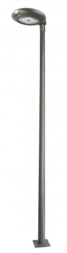 Latarnia zewnętrzna Tytan II LED 50W wys. 290cm. 3000K SU-MA TN-2900 | 5908310064253 lampynox noxbox www.lampynox.pl