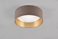 Lampa sufitowa Locarno szary Ø 30cm. LED 12W 3000K rl R64191141 | 4017807574388 noxbox lampynox www.lampynox.pl