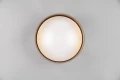 Lampa sufitowa Locarno szary Ø 30cm. LED 12W 3000K rl R64191141 | 4017807574388 noxbox lampynox www.lampynox.pl
