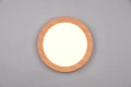 Plafon łazienkowy ściemnialny Camillus brązowy Ø 26cm. LED 3 step dim. 13W 3000K IP44 rl R62921535 | 4017807560572 noxbox lampynox www.lampynox.pl