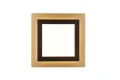 Plafon Morgan czarny | złoty LED dim. 46W 2700-6500K pilot trio 641510280 | 4017807574401 noxbox lampynox www.lampynox.pl
