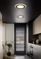 Plafon Morgan czarny | złoty Ø 45cm. LED dim. 42W 2700-6500K pilot trio 641519280 | 4017807574425 noxbox lampynox www.lampynox.pl