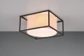 Lampa sufitowa Ross czarny mat | beż 2xE27 trio 603100244 | 4017807567748