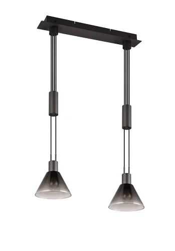 Lampa wisząca Stanley czarny mat | przydymiony 2xE27 trio 319500232 | 4017807574630