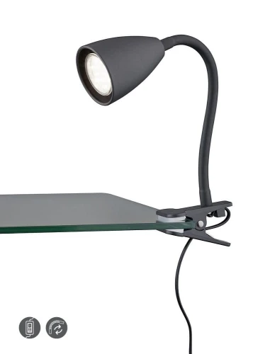 Lampka z klipsem mocującym Wanda czarny mat GU10 trio 202620132 | 4017807575040