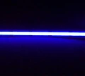 Taśma ściemnialna LED COB 5m. dim. 45W 480 9W/m niebieska 12V IP20 ecolight EC20303 | 5905036203034