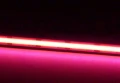 Taśma ściemnialna LED COB 5m. dim. 45W 480 9W/m różowa 12V IP20 ecolight EC20307 | 5905036203072