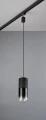 Lampa wisząca czarny mat Ø 10cm. E27 do systemu szyn 2-fazowych DUOLINE trio 73060132 | 4017807577518