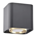 Downlight regulowany XENO kwadrat czarny-czarny | czarny-złoty szer. 10cm GU10 goldlux 325396 | 5901508325396