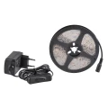 Zestaw: taśma LED 9W 24V 2m IP65 4000K zasilacz, włącznik ON/OFF goldlux 319142 | 5901508319142