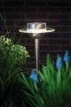 Ogrodowa lampa solarna stojąca Ufo solar wys. 55cm. LED 0,2W 3000K IP44 paulmann 93764 | 4000870937648