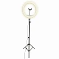 Lampa pierścieniowa podłogowa SELFIE LED 36cm wysoka USB 15W 2700~4000~6500K