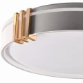 Plafon z pilotem IR ARLETTA 40 biały | szary LED Ø38 48W 3000-6000K IP44