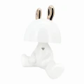 Lampka dekoracyjna FANCY biały LED 2,5W 4000K akumulator + przewód USB-C goldlux