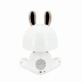 Lampka dekoracyjna FANCY biały LED 2,5W 4000K akumulator + przewód USB-C goldlux