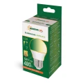 LED KULKA ściemnialna barwa ciepła E-27 230V 6W WW DIM SPECTRUM WOJ+14378  5902650568563 lampynox noxbox www.lampynox.pl 2.jpg