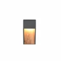 Kinkiet zewnętrzny SALMON imitacja drewna | antracyt LED 11W 3000K trio 246960135 | 4017807603705