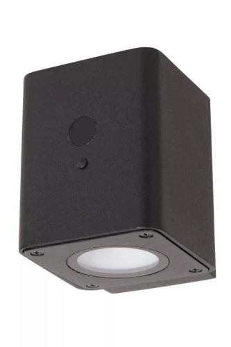 Kinkiet zewnętrzny solarny z czujnikiem zmierzchu RAMIN Solar czarny PIR LED dim. 1W 2850K IP54