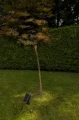 Reflektor ogrodowy BINGO Solar czarny PIR LED 8,2W 5000K IP54