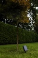 Reflektor ogrodowy BINGO Solar czarny PIR LED 8,2W 5000K IP54