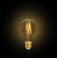 Żarówka filamentowa LUTEC CONNECT Amber LED dim. 7,5W E27 2700-6500K