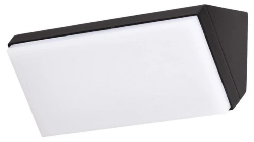 Kinkiet zewnętrzny RIONEGRO ciemny antracyt LED 12W 3000K IP65