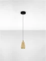 Lampa wisząca RORIZNO czarny mat | złoty śr. 12cm. LED