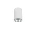 Downlight | Tuba zewnętrzna Dermot biały LED COB 10W 3000K